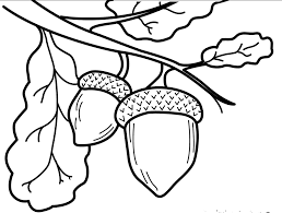 Two acorns on a twig coloring page
